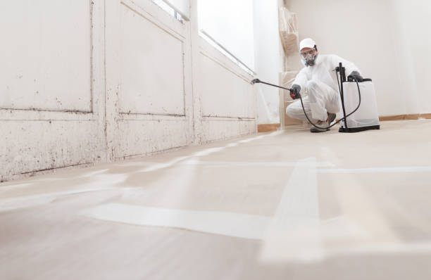 24/7 Emergency Mold Remediation experts in Centreville, IL