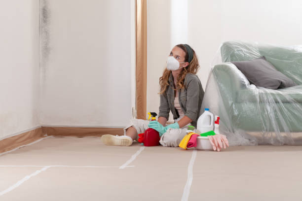 Reliable Mold Remediation contractor in Centreville, IL by 24 Hour Mold Removal